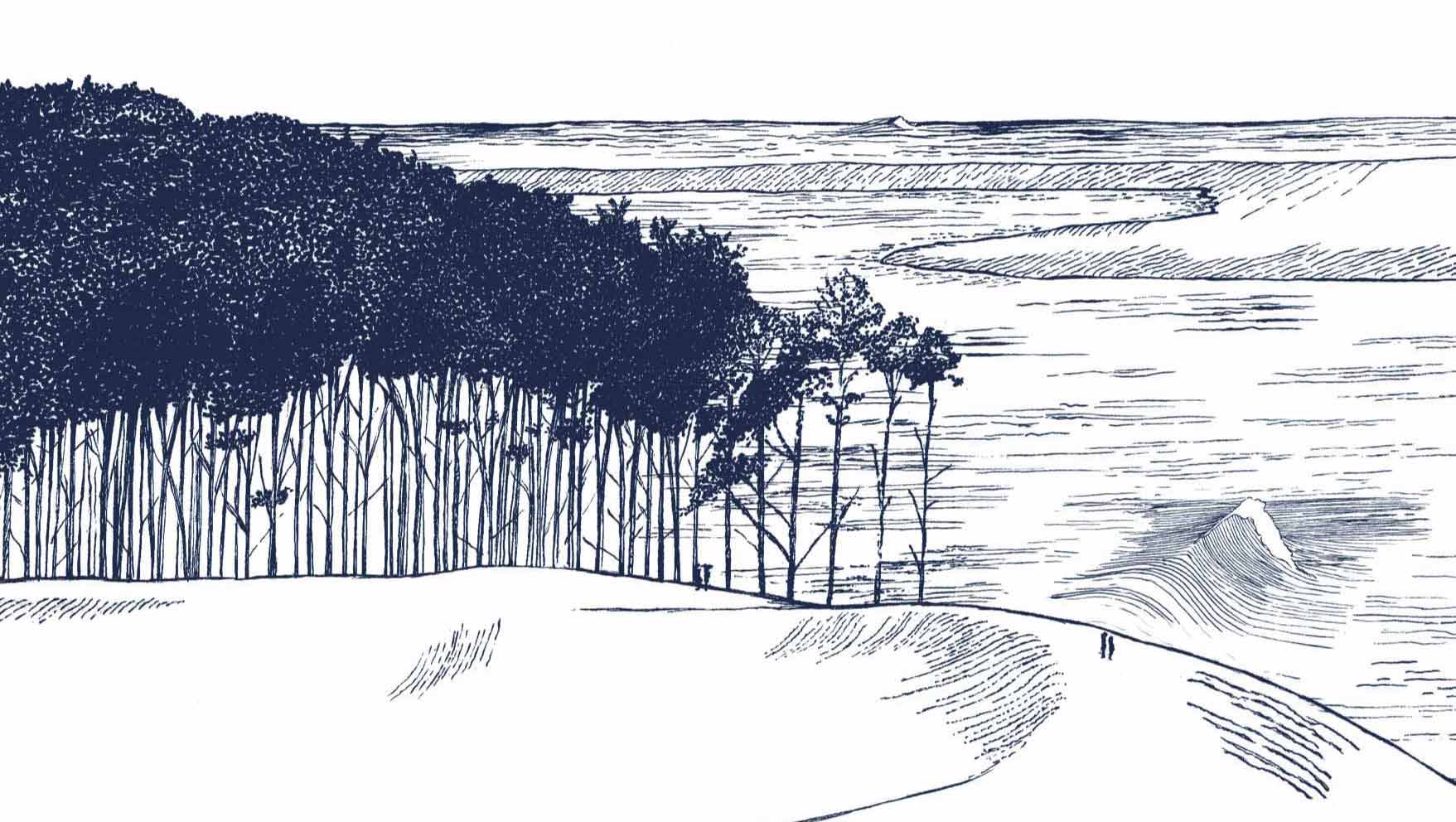 Le banc d’arguin - Standard